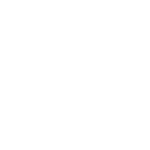 State Grid Brazil Holding
