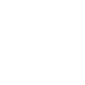Net Partners